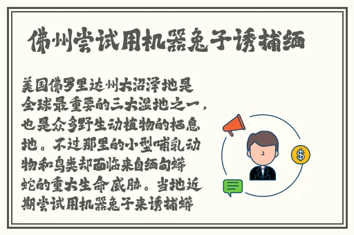 成人免费无码不卡毛片